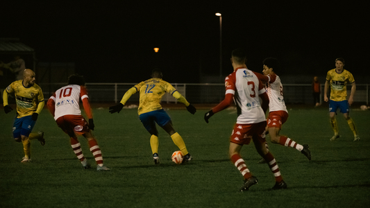 N2-29.jpg